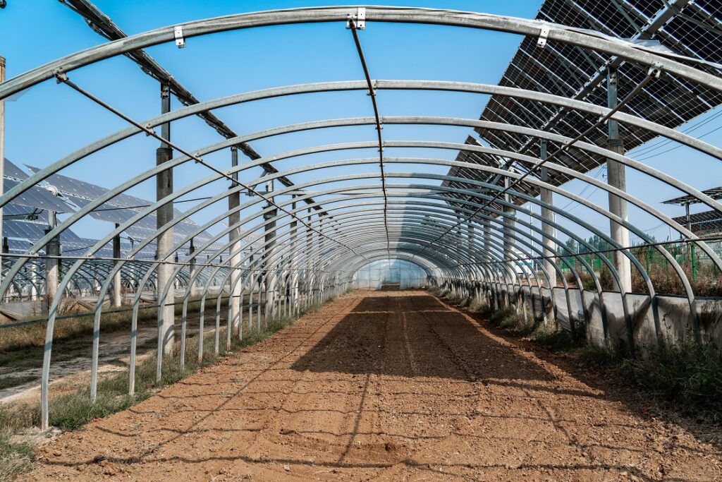 Serre de légumes et panneaux solaires pour l'agrivoltaïsme