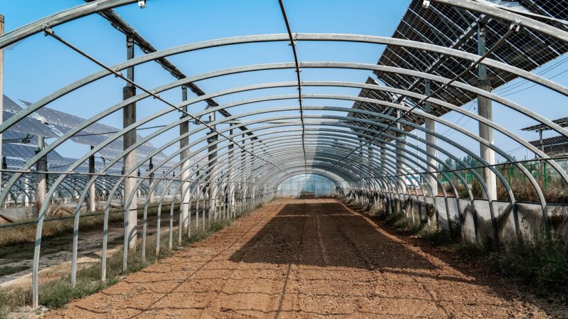 Serre de légumes et panneaux solaires pour l'agrivoltaïsme